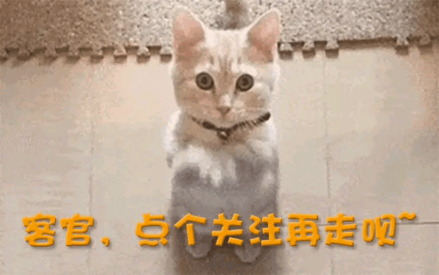 的李维嘉终于凭借马上“干一切”回归！九游会j9登陆一出场就爆梗！消失多年(图3)