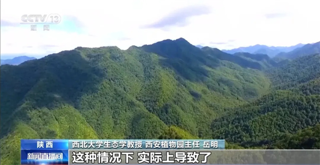 毁草”！非法穿越“鳌太线”屡禁不止最高检出手了→j9九游真人游戏第一平台【央视新闻】“种草”变“(图1)