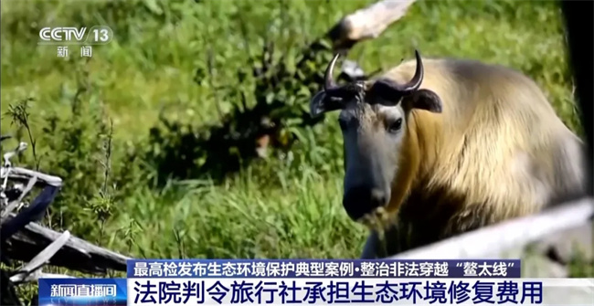 毁草”！非法穿越“鳌太线”屡禁不止最高检出手了→j9九游真人游戏第一平台【央视新闻】“种草”变“(图2)