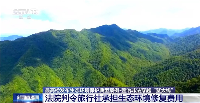 毁草”！非法穿越“鳌太线”屡禁不止最高检出手了→j9九游真人游戏第一平台【央视新闻】“种草”变“(图4)